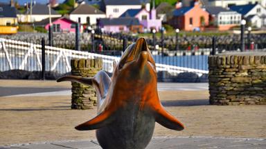 ierland_kerry_Dingle-Peninsula_standbeeld dolfijn-Fungie