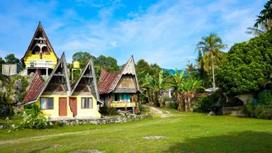 indonesie_sumatra_noord-sumatra_tobameer_dorp_batakhuis_palmbomen_pixabay.jpg